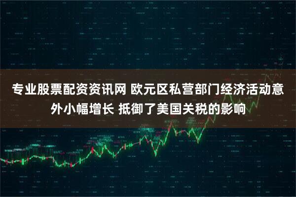 专业股票配资资讯网 欧元区私营部门经济活动意外小幅增长 抵御了美国关税的影响