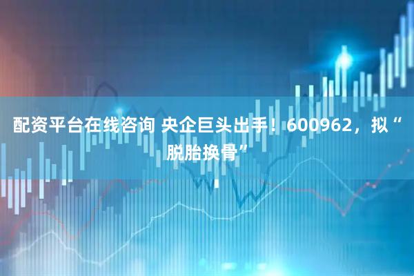 配资平台在线咨询 央企巨头出手！600962，拟“脱胎换骨”